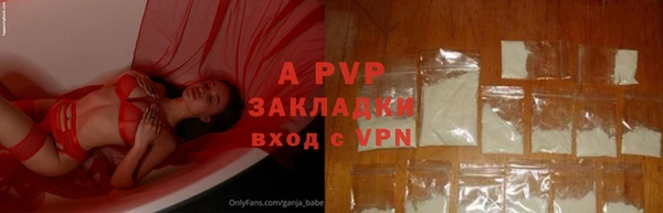 СК Белокуриха