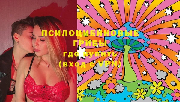 СК Белокуриха